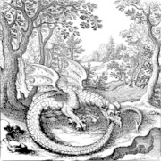 dragondieuaide180
