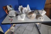 IMG20221020132834